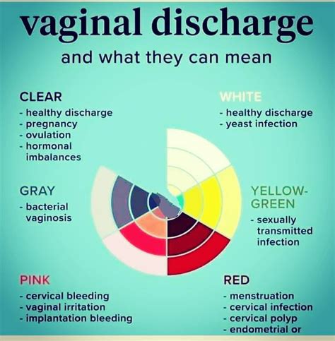 Watery fluid or discharge from vagina 